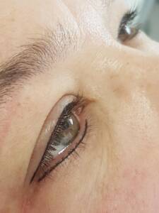 ricare-dettingen-wimpernkranz-oben-und-unten2_(1)