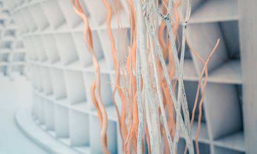 ricare-dettingen-eingang-3dtapete